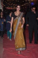 Bipasha Basu at Stardust Awards red carpet in Mumbai on 10th Feb 2012 (230).JPG